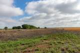  Spring Creek 320 Ac - Photo 10