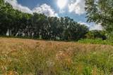  Spring Creek 320 Ac - Photo 12