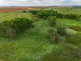  Spring Creek 320 Ac - Photo 15