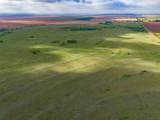  Spring Creek 320 Ac - Photo 24