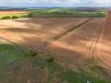  Spring Creek 320 Ac - Photo 29