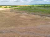  Spring Creek 320 Ac - Photo 34