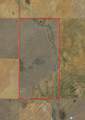  Spring Creek 320 Ac - Photo 4