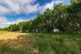  Spring Creek 320 Ac - Photo 5