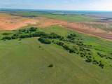  Spring Creek 320 Ac - Photo 53