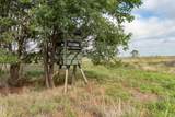  Spring Creek 320 Ac - Photo 6