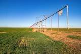  Te Velde Irrigated Farm - Photo 10