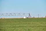  Te Velde Irrigated Farm - Photo 11