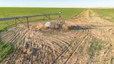  Te Velde Irrigated Farm - Photo 19