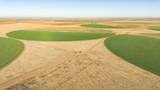  Te Velde Irrigated Farm - Photo 28