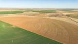  Te Velde Irrigated Farm - Photo 31