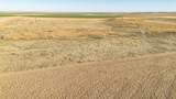  Te Velde Irrigated Farm - Photo 34