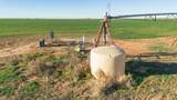  Te Velde Irrigated Farm - Photo 44