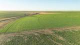  Te Velde Irrigated Farm - Photo 55