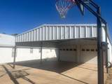 517 Orpe - Photo 24