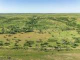  Crush Ranch - Photo 66