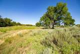  Crush Ranch - Photo 79