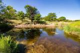  Crush Ranch - Photo 83