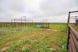  Hurst 1,320 Acres - Photo 15