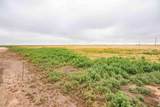  Hurst 1,320 Acres - Photo 36
