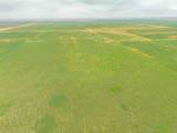  Hurst 1,320 Acres - Photo 48
