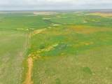  Hurst 1,320 Acres - Photo 49