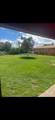 716 Armstrong Avenue - Photo 15