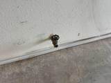 533 Overland Trail - Photo 95