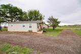 10825 Hickory Trail - Photo 48