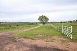 10825 Hickory Trail - Photo 64