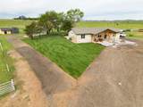 10825 Hickory Trail - Photo 73