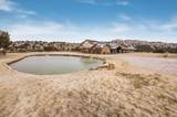 8150 Little Fox Trail - Photo 15
