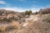 8150 Little Fox Trail - Photo 65