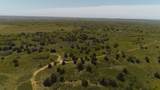  Pavolosky Place - Photo 35