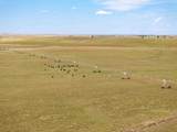  Bourquin Cattle 495 Ac - Photo 17