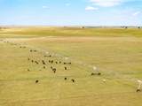 Bourquin Cattle 495 Ac - Photo 18