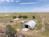  Bourquin Cattle 317 Ac - Photo 11