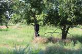4431 Co Rd 18 - Photo 22