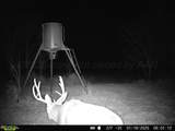 4431 Co Rd 18 - Photo 62