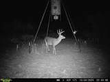 4431 Co Rd 18 - Photo 64