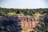  Whistling Winds Ranch - Photo 103