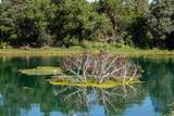  Whistling Winds Ranch - Photo 140