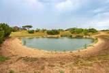  Whistling Winds Ranch - Photo 66