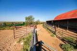  Reeves Ranch - Photo 131