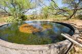  Reeves Ranch - Photo 79