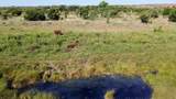  Reeves Ranch - Photo 8