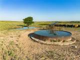  4K Ranch - Photo 32