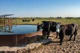  4K Ranch - Photo 39