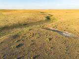  Wise Ranch 3,273.84 Acres - Photo 20