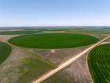  Busby Farms 516.34 Ac Cr 625 - Photo 10